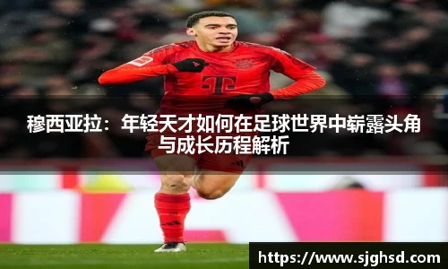贝博BB