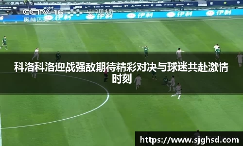 贝博BB